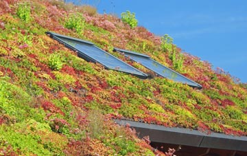 Porlock Weir living roof systems